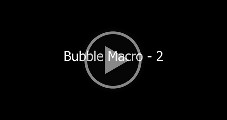 Macro Photography Video  Macro Photography Video : Macro Photography Video