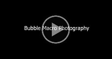 Macro Photography Video  Macro Photography Video : Macro Photography Video