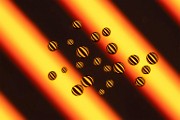 Macro Photography  Macro Photography : Macro Photography