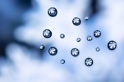 Macro Photography  Macro Photography : Macro Photography