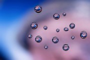 Macro Photography  Macro Photography : Macro Photography
