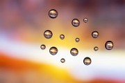 Macro Photography  Macro Photography : Macro Photography