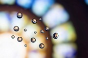 Macro Photography  Macro Photography : Macro Photography