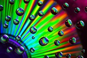 Water Droplets Macro Photography  Macro Photography : Macro Photography