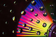 Water Droplets Macro Photography  Macro Photography : Macro Photography