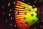 Water Droplets Macro Photography  Macro Photography : Macro Photography