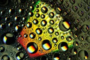 Water Droplets Macro Photography  Macro Photography : Macro Photography