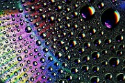 Water Droplets Macro Photography  Macro Photography : Macro Photography