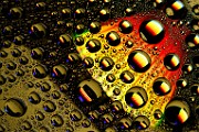 Water Droplets Macro Photography  Macro Photography : Macro Photography