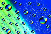 Water Droplets Macro Photography  Macro Photography : Macro Photography