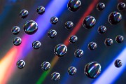 Water Droplets Macro Photography  Macro Photography : Macro Photography