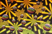 Water Droplets Macro Photography  Macro Photography : Macro Photography
