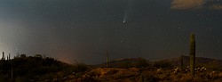 Neowise Comet  Neowise Comet : Neowise Comet