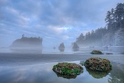 Olympic National Park : Olympic National Park