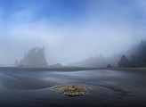 Olympic National Park : Olympic National Park