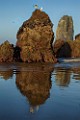 Oregon Coast