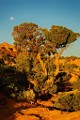 Page Arizona