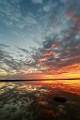 Sea of Cortez