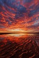 Sea of Cortez Sunset  Sea of Cortez Sunset : Sea of Cortez Sunset
