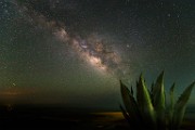 Sea of Cortez, June. 2014