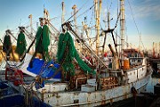Peter Shinyeda Photography : Mexico, Sea of Cortez, Shrimp_Boat
