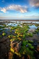 Peter Shinyeda Photography : Mexico, Sea of Cortez:Sun_Rise