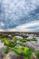 Peter Shinyeda Photography : Mexico, Sea of Cortez:Sun_Rise