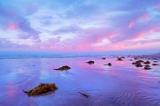 Sea of Cortez, May 2022