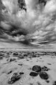 Sea of Cortez