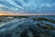Sea of Cortez, Mexico, March 2016