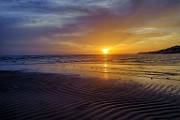 Sea of Cortez 03
