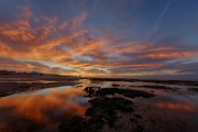 Sea of Cortez Sunrise  Sunrise : Sunrise