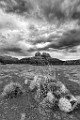 Sedona