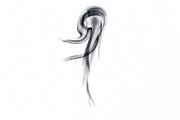 Smoke Art  Smoke Art Photography : Smoke Art Photography