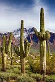 Superstition Mountain  Superstition Mountain, Arizona; : Superstition Mountain, Arizona