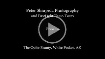 The Quite Beauty - White Pocket